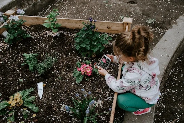 Bac en tôlerie pour jardin